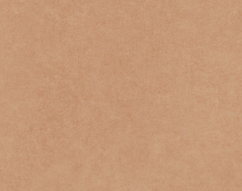 [200111120_21] Taralay Initial Compact - 0950 Miami Sable